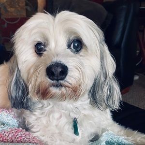 Meet your Posher, Charlene